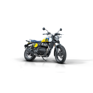 Bear 650