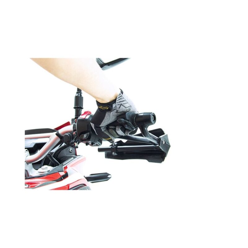 Asistente de Acelerador (Throttle Assistant)