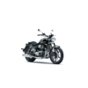 Super Meteor 650